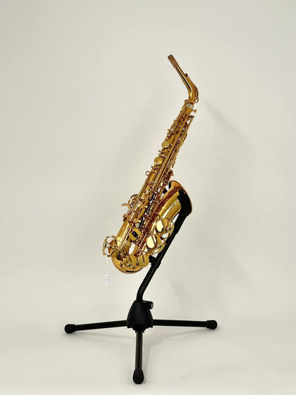 Selmer Alt-Saxophon - Lebensmusik